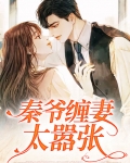 秦爷追妻