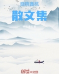 作家晓晓