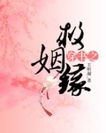 穿书之救姻缘