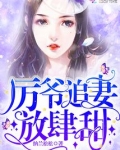 厉少追妻要走心免费阅