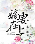 嫡妻在上(重生) 花日绯