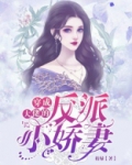 穿成大佬的反派小娇妻小说免费阅读