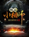 极品风水师陈易小说