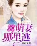 猎妻成瘾:萌妻哪里逃