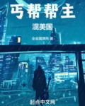 丐帮帮主混美国TXT免费下载