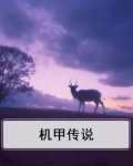 机甲传说芯片自选箱选哪个
