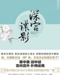 深宫谍影电视剧免费观看完整版