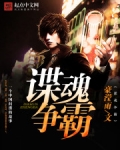 谍海争霸小说