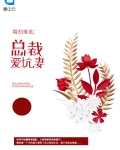 总裁劫婚免费阅读全文