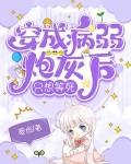 穿成病弱炮灰太子后格格党