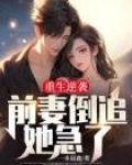 重生之前妻逆袭记凌亚卿