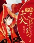 报告少帅,夫人要退婚全文免费阅读