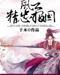 风云:精忠报国