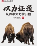 以力证道从莽牛大力拳开始