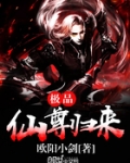 极品仙尊归来当奶爸