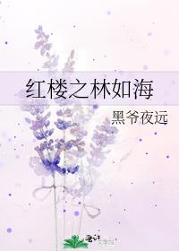 红楼之林如海