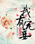 我有宠妾我骄傲全文免费阅读