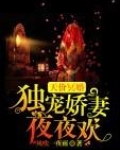 天价独宠暖婚甜妻