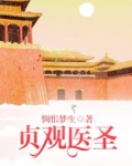 贞观医圣txt