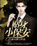 贴身小保安张易