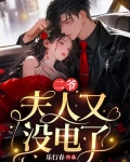 二爷夫人又没电了短剧