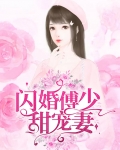 傅少的闪婚甜妻免费播放全集