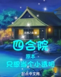 四合院原本只想当个小透明无防盗