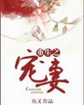 重生宠妻