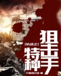 抗战之特种狙击手全文免费阅读
