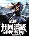武侠:开局满级金刚不坏神功作者:真的老将军