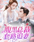 腹黑总裁套路追妻苏荷