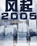 风起2005TXT下载