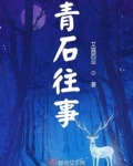 青石往事破案小说