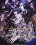 一夜倾心云少独宠小萌妻免费阅读