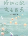 修仙女配的女配