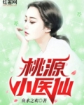 桃源小医仙