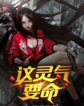 这灵气要命TXT下载电子书