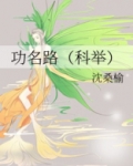功名路(科举)晋江TXT
