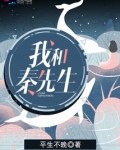 我和秦先生小说在线阅读