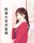 隐婚大佬求复婚小说
