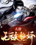 大唐无敌赘婿