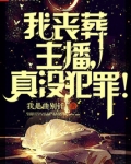 我丧葬主播,真没有犯罪!下载