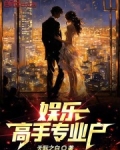 娱乐:高手专业户小说