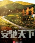 安驰天下小说下载