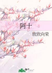 阿十