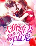 天价老公霸道宠 黑白灰