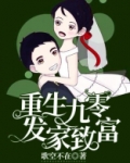 重生九零发家致富记