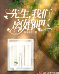 小说季先生我们离婚吧