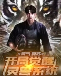 灵气复苏:开局强吻裂口