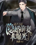 高手隐居小说